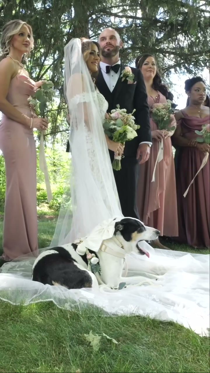 Bridal party and wedding dog resting on veil lawn in Pennsylvania